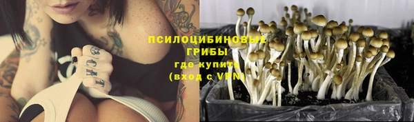 хмурый Кулебаки